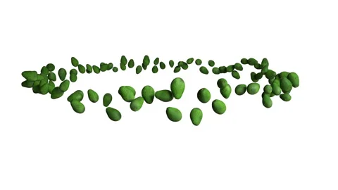 Avocado fruit flying in circle, seamless loop, against white Stock Footage 134189092