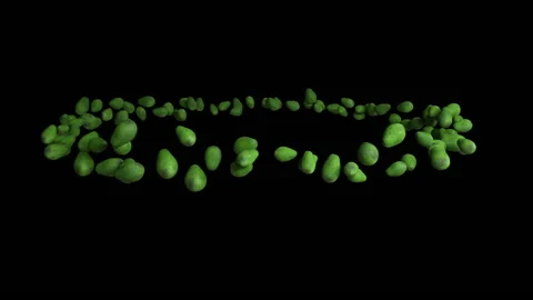 Avocado fruit flying in circle, seamless loop, Luma Matte attached Stock Footage 161798122