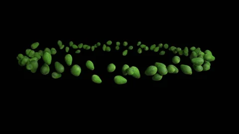 Avocado fruit flying in circle, seamless loop, against black Stock Footage 163335628