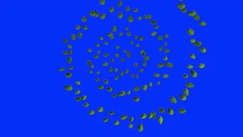 Avocado fruit flying in a helix shape, upper view, seamless loop, Blue Screen Ch Stock Footage 179366021