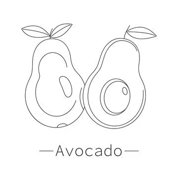 Avocado fruit, half an avocado Stock Illustration