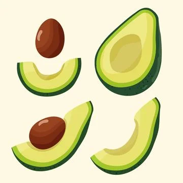 Avocado fruit half Stock Illustration