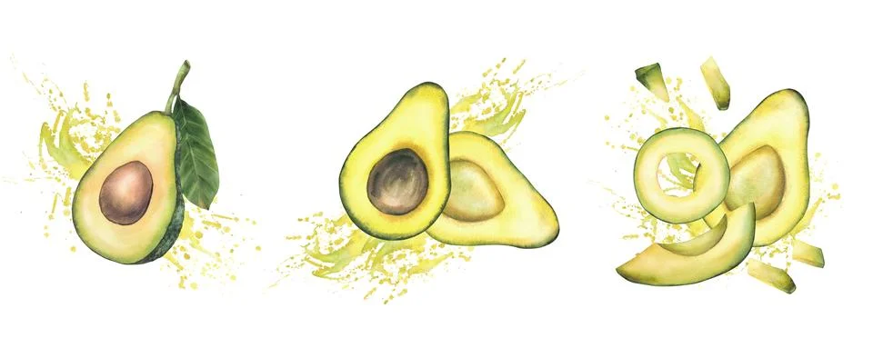 Avocado fruit halves with seed, leaf, pieces and slices on splash spot 库存插图