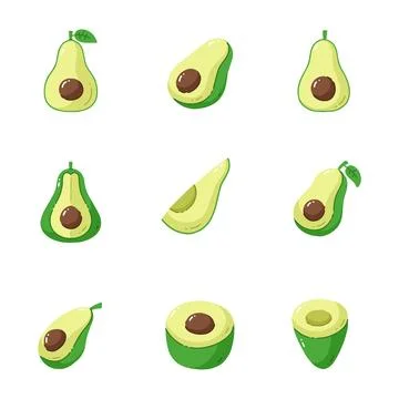 Avocado fruit icon. Hand drawn style. collection of isolated illustrations Stock Illustration