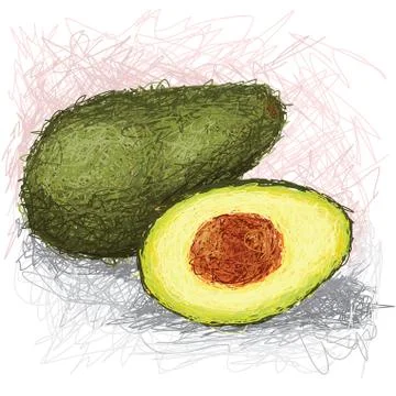 Avocado fruit Stock Illustration