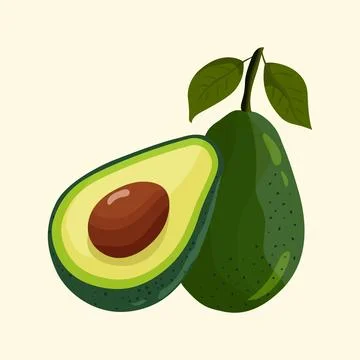 Avocado fruit Stock Illustration