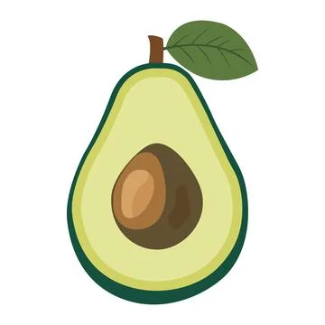 Avocado fruit Stock Illustration
