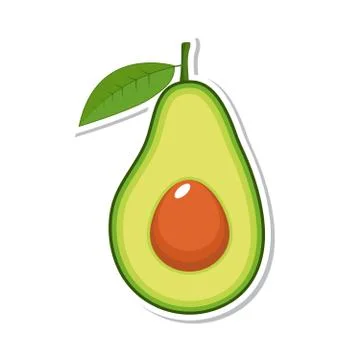 Avocado fruit. Isolated fruit on white background. Vector illustration. Stock Illustration