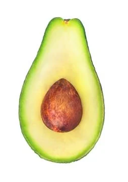 Avocado fruit isolated Stock Photos