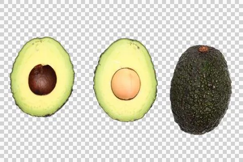 Avocado fruit isolated on white background 写真素材