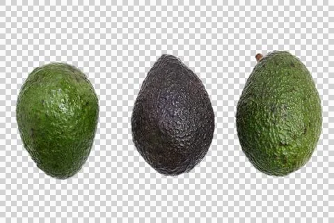 Avocado fruit isolated on white background Stock Photos