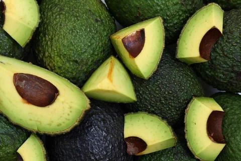 Avocado fruit isolated on white background Stock Photos