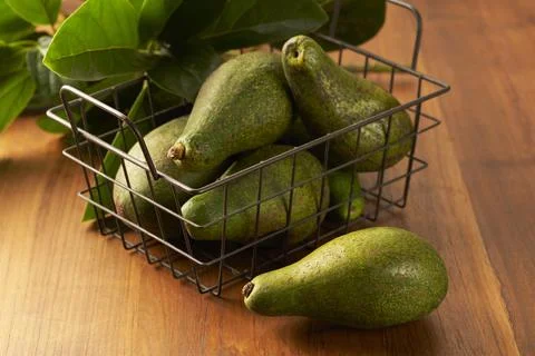 Avocado fruit Stock Photos