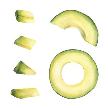 Avocado fruit set with whole, cut, halves round and slices pieces. Watercol.. Stock Illustration