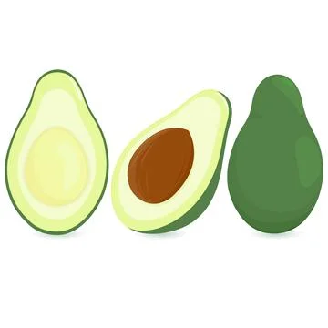 Avocado fruit. Vector illustration Stock Illustration