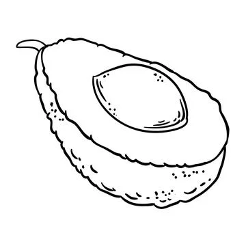 Avocado  fruit vector isolated Illustrazione stock