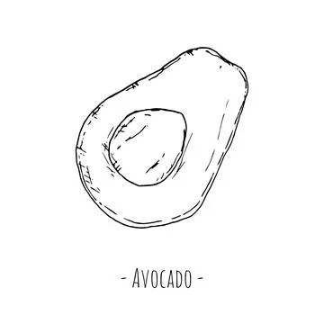 Avocado half. Vector illustration. Isolated object on a white background. Stock Illustration