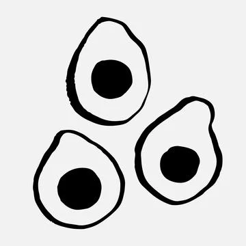 Avocado halves. Stock Illustration