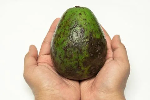 Avocado in the hands close up Stock Photos