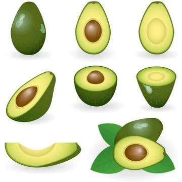 Avocado Stock Illustration