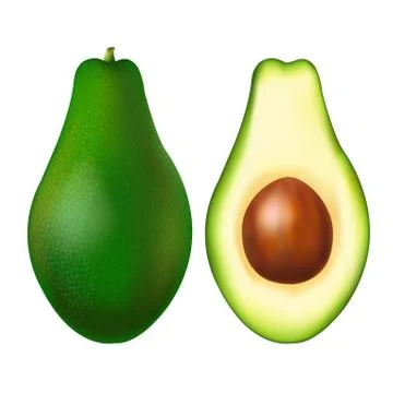 Avocado Stock Illustration