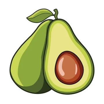 Avocado Stock Illustration