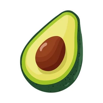 Avocado Stock Illustration