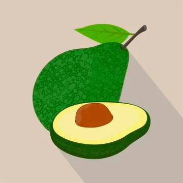 Avocado isolated flat style, vector illustration. Stock Illustration