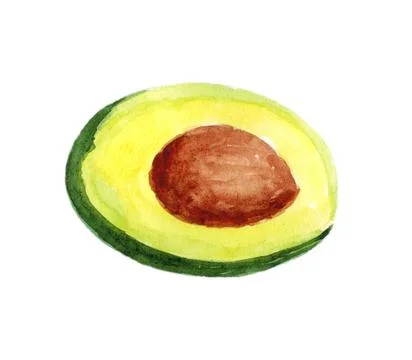 Avocado, isolated on a white background. Stock Illustration