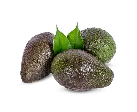 Avocado isolated on white background. 库存照片