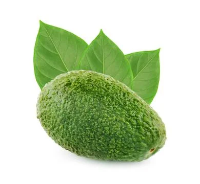 Avocado isolated on a white background Stock Photos