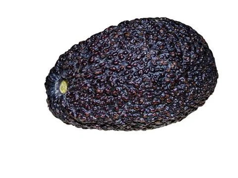 Avocado isolated on white background Fotos de archivo