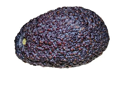 Avocado isolated on white background Fotos Stock