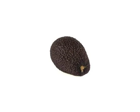 Avocado on an isolated white background. 스톡 사진