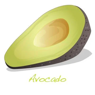 Avocado isolated on white Stock Illustration