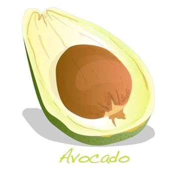Avocado isolated on white Stock Illustration