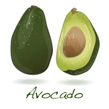 Avocado isolated on white Stock Illustration