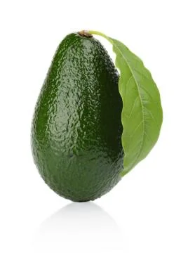 Avocado with leaf stands upright, vertically isolated on white background Stock Photos