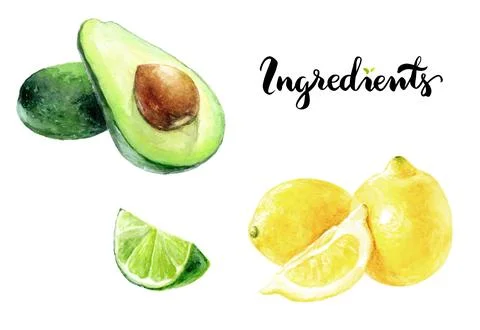 Avocado, lime, and lemon illustrations for healthy recipes with watercolor Stock Illustration