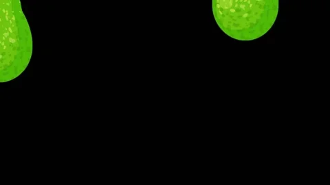 Avocado Loop Back Black Background H264 Stock Footage 131054822
