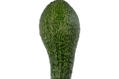 An avocado, a nutrient dense fruit, botanically a large berry, known for it.. Stock Photos