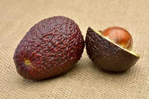 Avocado on old canvas background Stock Photos