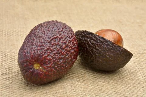 Avocado on old canvas background Stock Photos