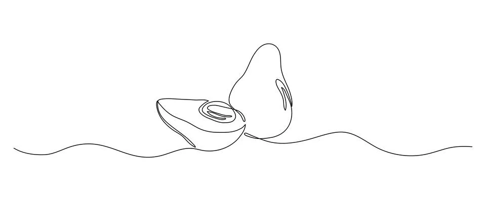 Avocado one line drawing, continuous single minimal outline illustration. Stock Illustration