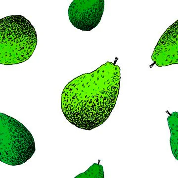 Avocado pattern. Hand drawn green avocado on transparent background. Seamless Stock Illustration