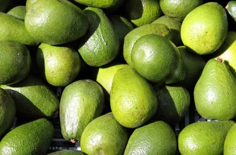 Avocado pears Stock Photos