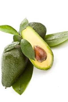 Avocado Stock Photos