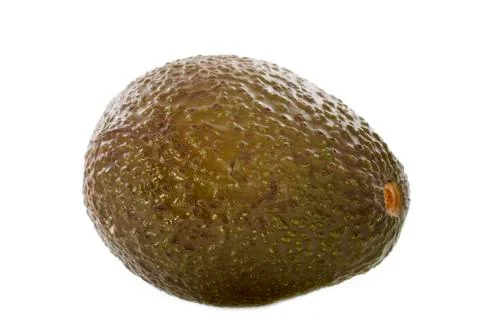 Avocado Stock Photos