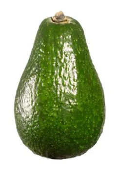 Avocado Stock Photos