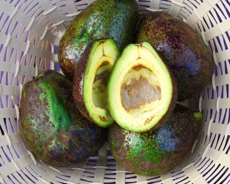 Avocado Stock Photos